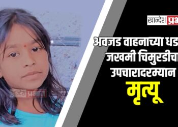 अवजड वाहनाच्या धडकेत जखमी चिमुरडीचा उपचारादरम्यान मृत्यू ; जामनेर तालुक्यातील घटना