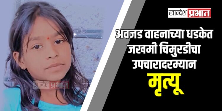 अवजड वाहनाच्या धडकेत जखमी चिमुरडीचा उपचारादरम्यान मृत्यू ; जामनेर तालुक्यातील घटना