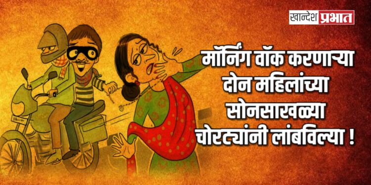 मॉर्निंग वॉक करणाऱ्या दोन महिलांच्या सोनसाखळ्या चोरट्यांनी लांबविल्या !
