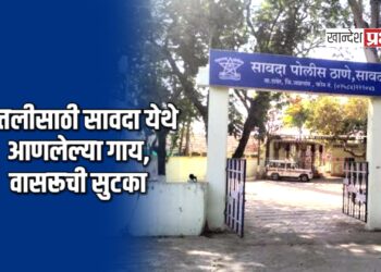 कत्तलीसाठी सावदा येथे आणलेल्या गाय, वासरूची सुटका