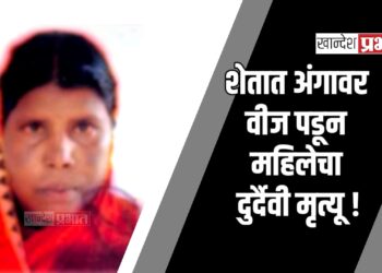 शेतात अंगावर वीज पडून महिलेचा दुर्दैवी मृत्यू ! ; जामनेर तालुक्यातील घटना