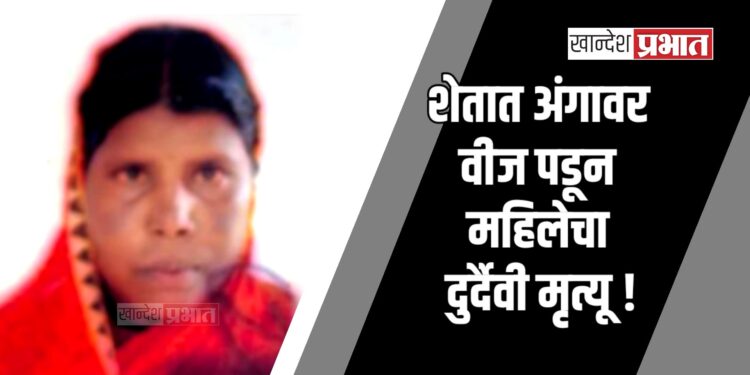 शेतात अंगावर वीज पडून महिलेचा दुर्दैवी मृत्यू ! ; जामनेर तालुक्यातील घटना