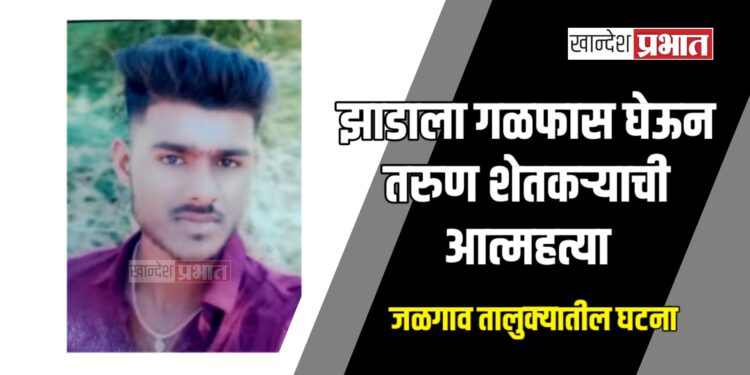 झाडाला गळफास घेऊन तरुण शेतकऱ्याची आत्महत्या ; जळगाव तालुक्यातील घटना