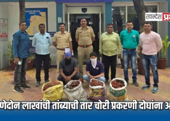 पावणेदोन लाखांची तांब्याची तार चोरी प्रकरणी दोघांना अटक