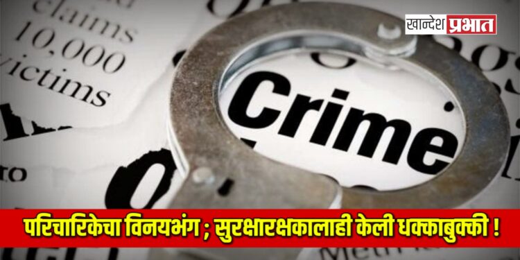 परिचारिकेचा विनयभंग ; सुरक्षारक्षकालाही केली धक्काबुक्की !