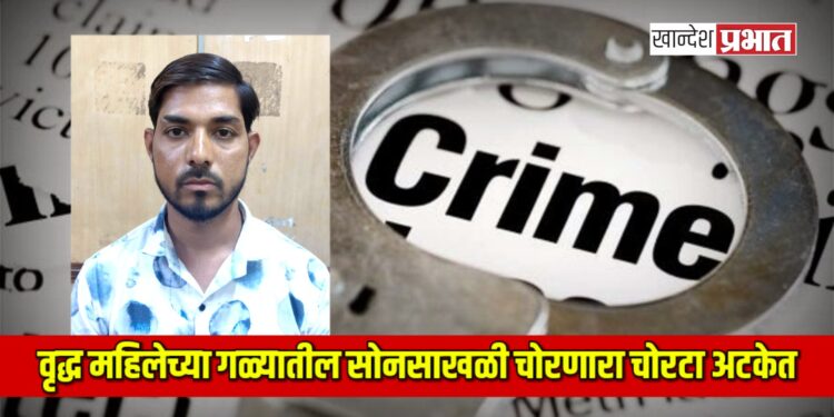 वृद्ध महिलेच्या गळ्यातील सोनसाखळी चोरणारा चोरटा अटकेत