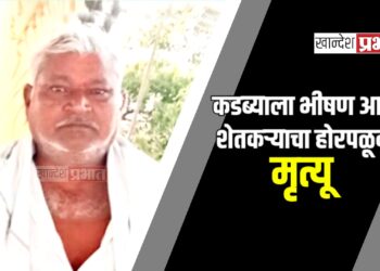 कडब्याला भीषण आग ; शेतकऱ्याचा होरपळून मृत्यू