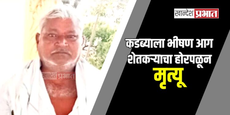 कडब्याला भीषण आग ; शेतकऱ्याचा होरपळून मृत्यू