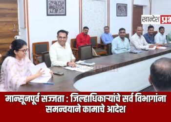 मान्सूनपूर्व सज्जता : जिल्हाधिकाऱ्यांचे सर्व विभागांना समन्वयाने कामाचे आदेश