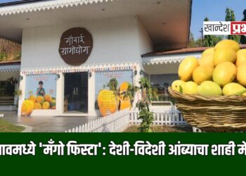 जळगावमध्ये ‘मॅंगो फिस्टा’: देशी-विदेशी आंब्याचा शाही मेळावा