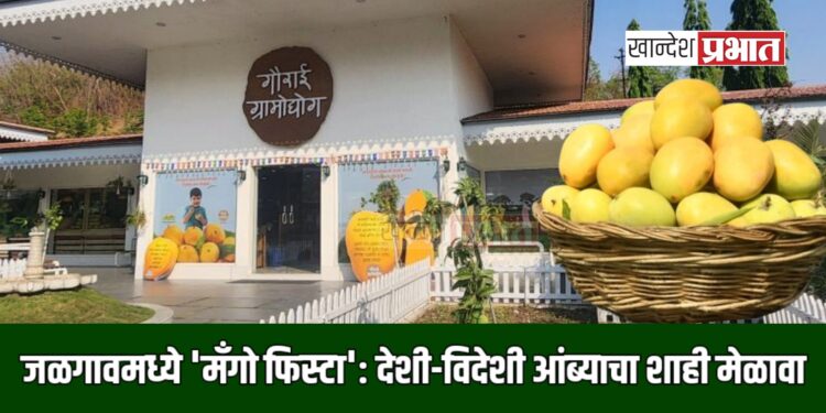 जळगावमध्ये ‘मॅंगो फिस्टा’: देशी-विदेशी आंब्याचा शाही मेळावा