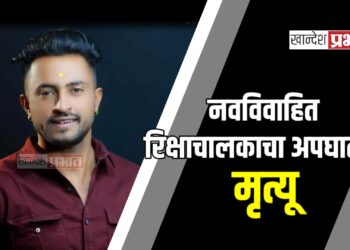 नवविवाहित रिक्षाचालकाचा अपघातात मृत्यू, अमळनेर तालुक्यात शोककळा