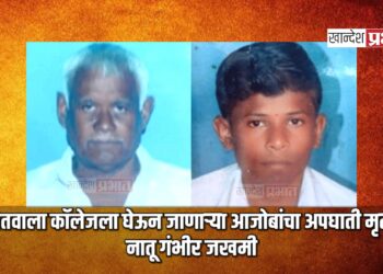 नातवाला कॉलेजला घेऊन जाणाऱ्या आजोबांचा अपघाती मृत्यू, नातू गंभीर जखमी