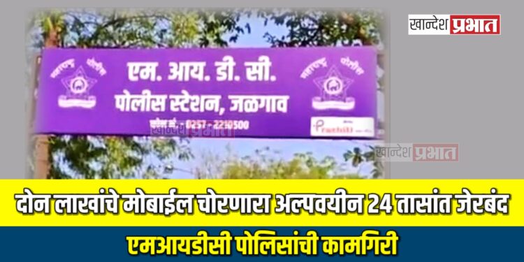 दोन लाखांचे मोबाईल चोरणारा अल्पवयीन २४ तासांत जेरबंद ; एमआयडीसी पोलिसांची कामगिरी