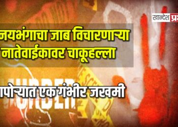 विनयभंगाचा जाब विचारणाऱ्या नातेवाईकावर चाकूहल्ला ; दापोऱ्यात एक गंभीर जखमी
