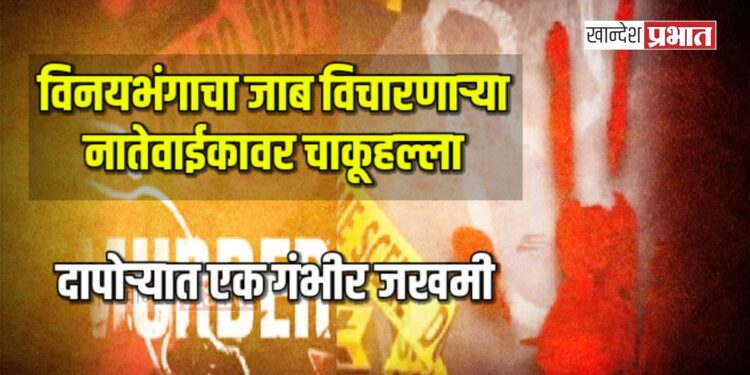 विनयभंगाचा जाब विचारणाऱ्या नातेवाईकावर चाकूहल्ला ; दापोऱ्यात एक गंभीर जखमी