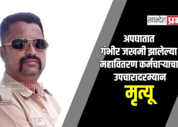 अपघातात गंभीर जखमी झालेल्या महावितरण कर्मचाऱ्याचा उपचारादरम्यान मृत्यू