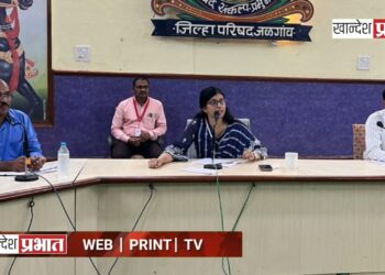 भर रस्त्यावर प्रसूती प्रकरण: सीईओंच्या कडक भूमिकेने आरोग्य यंत्रणेला नवी दिशा