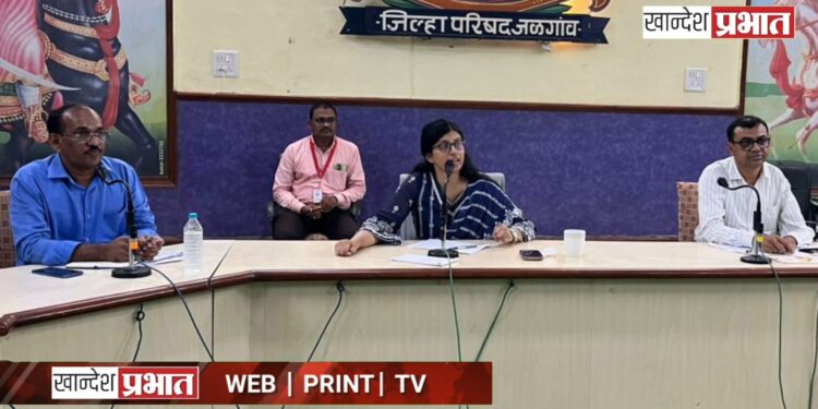 भर रस्त्यावर प्रसूती प्रकरण: सीईओंच्या कडक भूमिकेने आरोग्य यंत्रणेला नवी दिशा