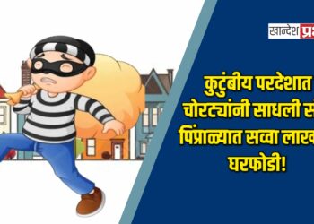 कुटुंबीय परदेशात, चोरट्यांनी साधली संधी: पिंप्राळ्यात सव्वा लाखांची घरफोडी!