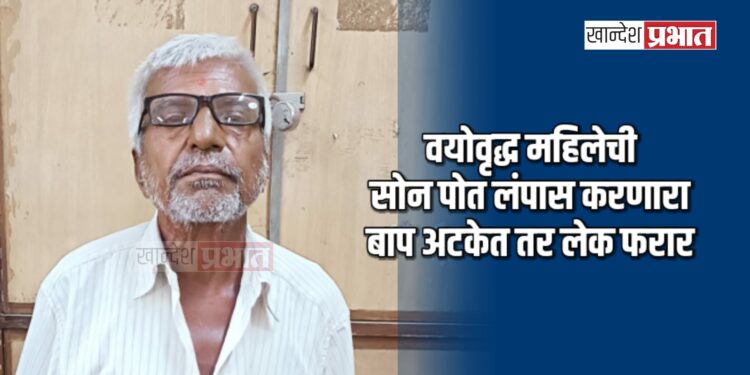 वयोवृद्ध महिलेची सोन पोत लंपास करणारा बाप अटकेत तर लेक फरार