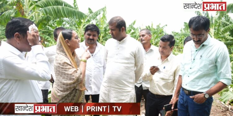 वादळी पाऊस: चाळीसगावमध्ये शेती पिकांचं मोठं नुकसान, आ. मंगेश चव्हाण यांची पाहणी