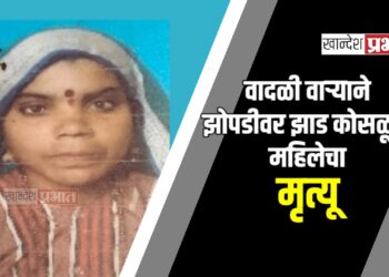 वादळी वाऱ्याने झोपडीवर झाड कोसळून महिलेचा मृत्यू, ४ जखमी