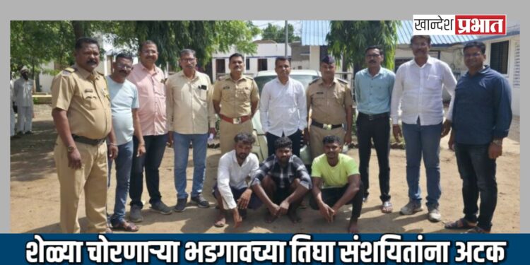 शेळ्या चोरणाऱ्या भडगावच्या तिघा संशयितांना अटक