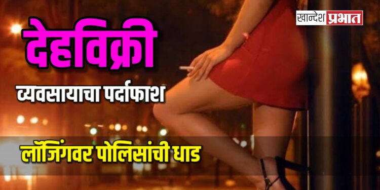 देहविक्री व्यवसायाचा पर्दाफाश; लॉजिंगवर पोलिसांची धाड