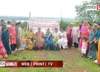 वुमेन्स ॲंड चाईल्ड केअर प्लस संस्थेतर्फे मानेगावात वृक्षारोपण उत्साहात संपन्न