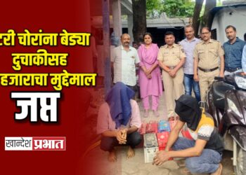 भडगावात बॅटरी चोरांना बेड्या: दोघांकडून दुचाकीसह ६३ हजाराचा मुद्देमाल जप्त