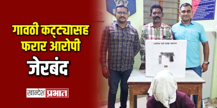 गावठी कट्ट्यासह फरार आरोपी जेरबंद; जळगाव स्थानिक गुन्हे शाखेची कारवाई