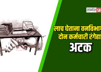 लाच घेताना वनविभागाचे दोन कर्मचारी रंगेहात अटक; जळगावात एसीबीची यशस्वी कारवाई