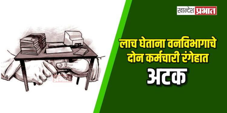 लाच घेताना वनविभागाचे दोन कर्मचारी रंगेहात अटक; जळगावात एसीबीची यशस्वी कारवाई
