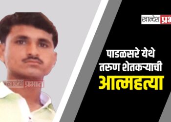 पाडळसरे येथे तरुण शेतकऱ्याची आत्महत्या