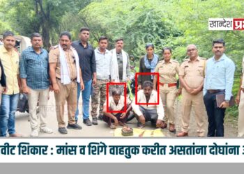 काळवीट शिकार : मांस व शिंगे वाहतुक करीत असतांना दोघांना अटक