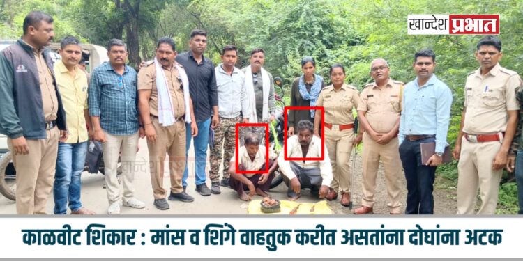 काळवीट शिकार : मांस व शिंगे वाहतुक करीत असतांना दोघांना अटक