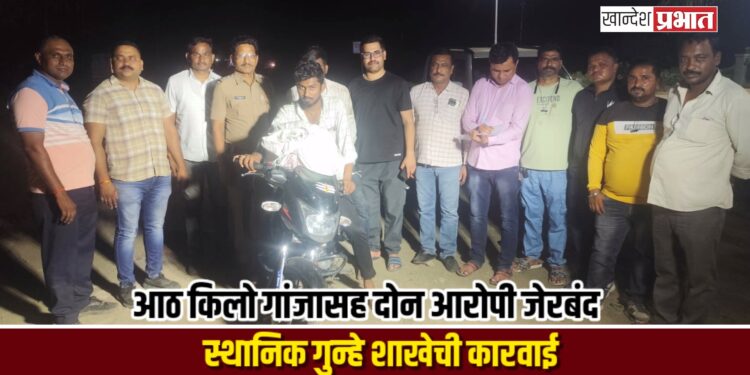 आठ किलो गांजासह दोन आरोपी जेरबंद; स्थानिक गुन्हे शाखेची कारवाई