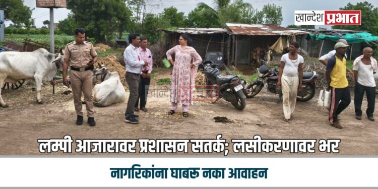 लम्पी आजारावर प्रशासन सतर्क; लसीकरणावर भर, नागरिकांना घाबरू नका आवाहन
