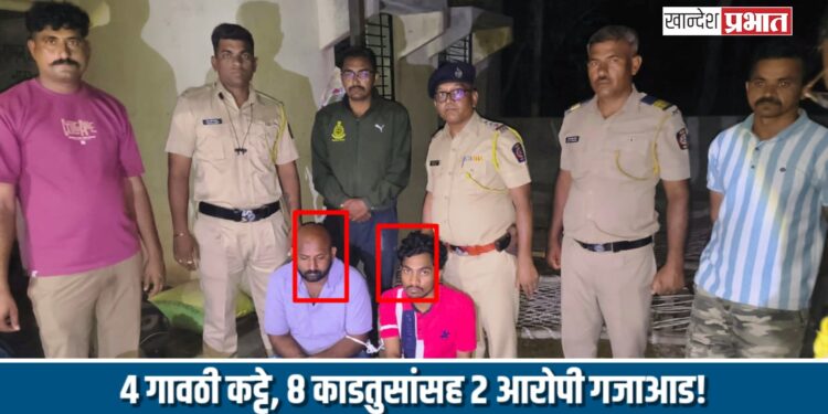 चोपडा ग्रामीण पोलिसांची मोठी कारवाई: ४ गावठी कट्टे, ८ काडतुसांसह २ आरोपी गजाआड!