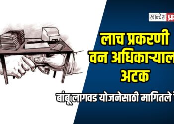 लाच प्रकरणी वन अधिकाऱ्याला अटक; बांबू लागवड योजनेसाठी मागितले पैसे