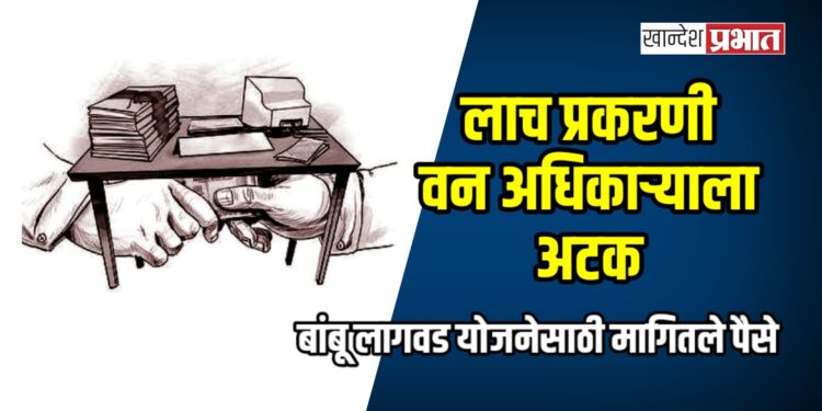 लाच प्रकरणी वन अधिकाऱ्याला अटक; बांबू लागवड योजनेसाठी मागितले पैसे