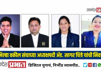 जिल्हा वकील संघाच्या अध्यक्षपदी ॲड. सागर चित्रे यांची निवड