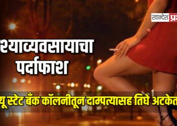 वेश्याव्यवसायाचा पर्दाफाश : न्यू स्टेट बँक काॅलनीतून दाम्पत्यासह तिघे अटकेत