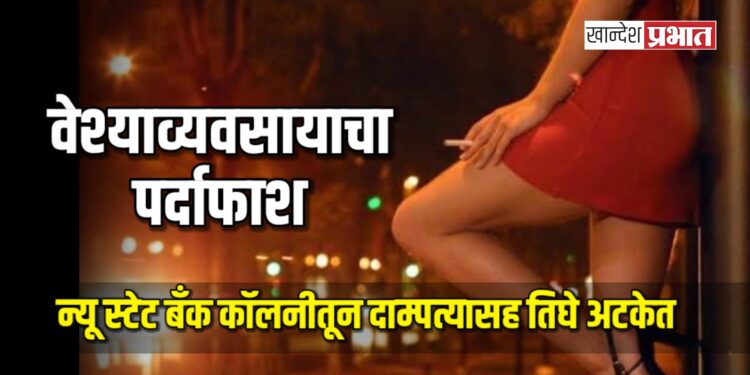 वेश्याव्यवसायाचा पर्दाफाश : न्यू स्टेट बँक काॅलनीतून दाम्पत्यासह तिघे अटकेत