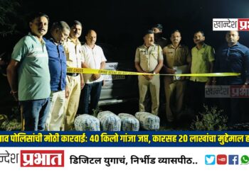 धरणगाव पोलिसांची मोठी कारवाई: ४० किलो गांजा जप्त, कारसह २० लाखांचा मुद्देमाल हस्तगत