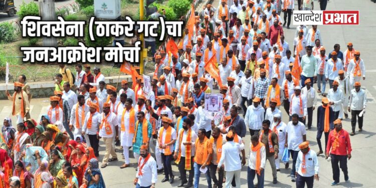 जळगावात शिवसेना (ठाकरे गट)चा जनआक्रोश मोर्चा; जिल्हाधिकारी कार्यालयासमोर मांडला पत्त्यांचा डाव