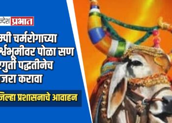 लम्पी चर्मरोगाच्या पार्श्वभूमीवर पोळा सण घरगुती पद्धतीनेच साजरा करावा – जिल्हा प्रशासनाचे आवाहन