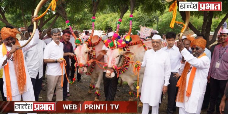 जैन हिल्स येथे पोळा उत्साहात साजरा; मान्यवरांनी धरला ठेका
