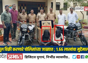 अमळनेर पोलिसांच्या जाळ्यात पिस्तूल विक्री करणारे; १.६६ लाखांचा मुद्देमाल जप्त